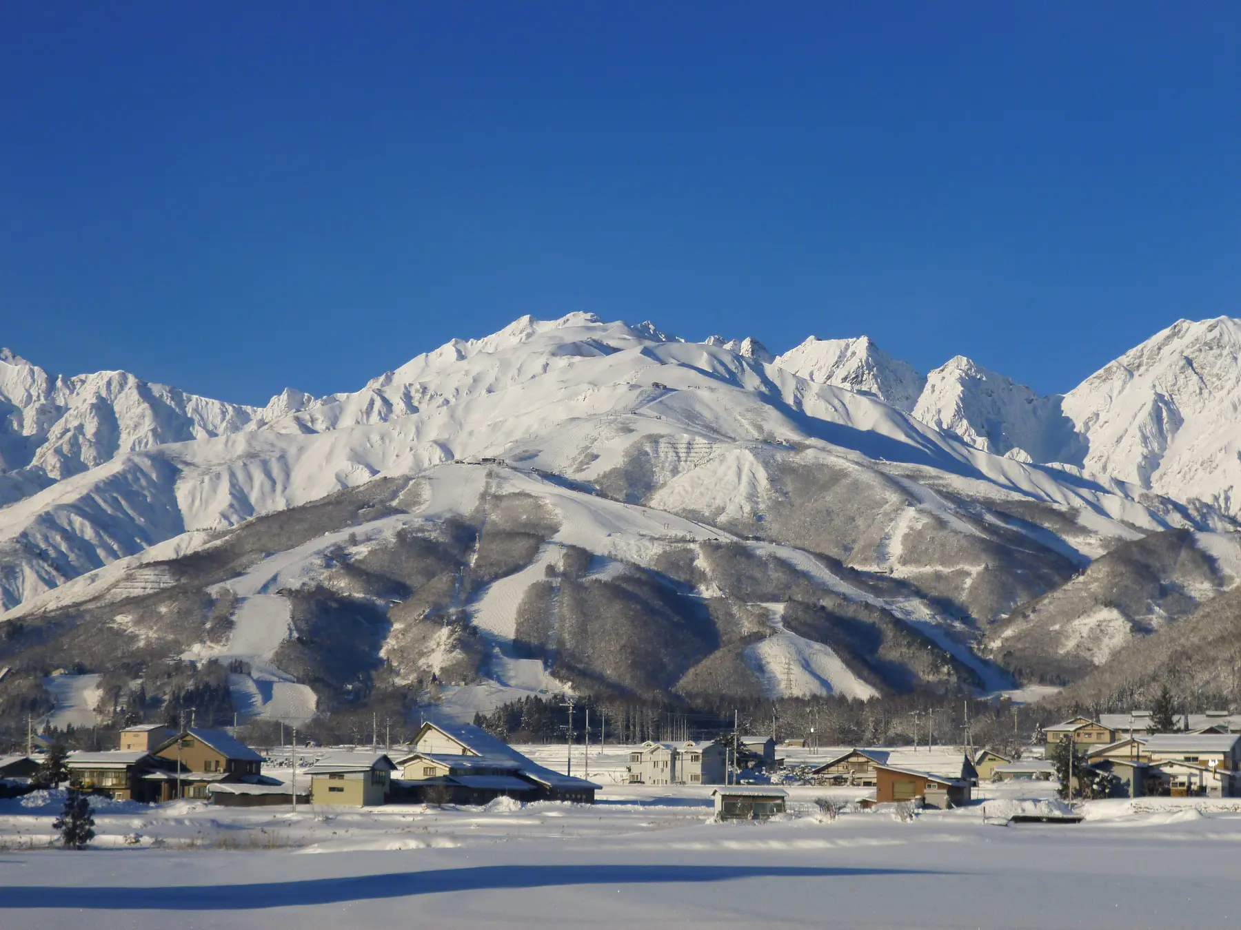 青空の下、雪に覆われた白馬八方尾根の山並みとゲレンデ
